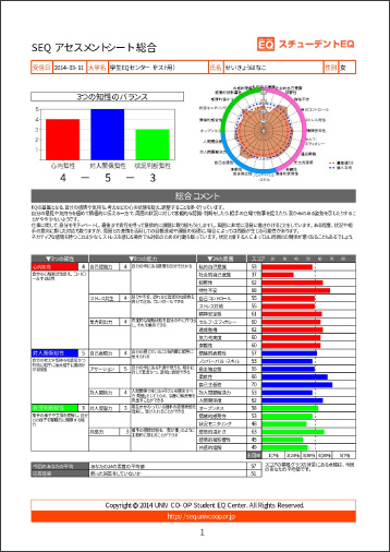 SEQアセスメントシート例